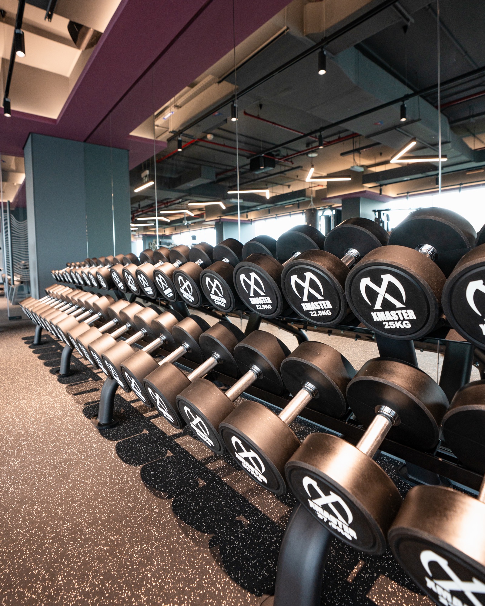 Equipt-installed Xmaster dumbbell floor · GCC venue